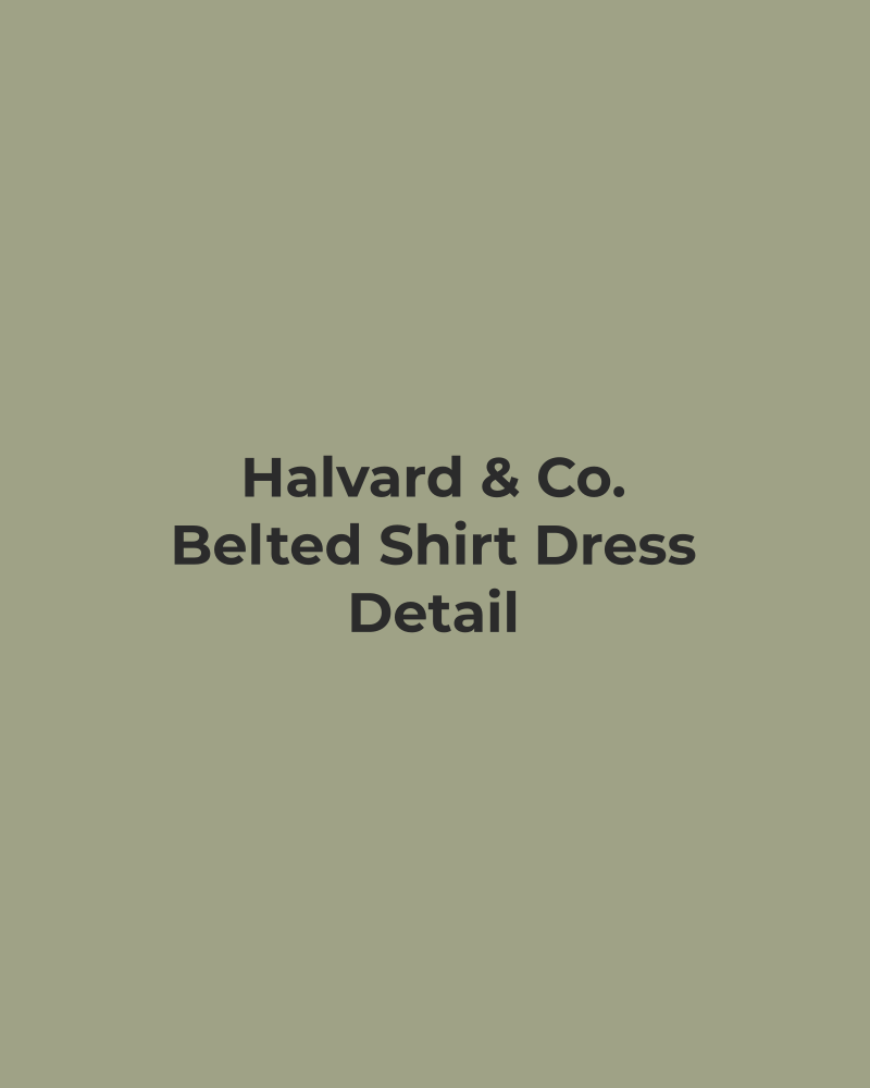 Belted Shirt Dress – detail