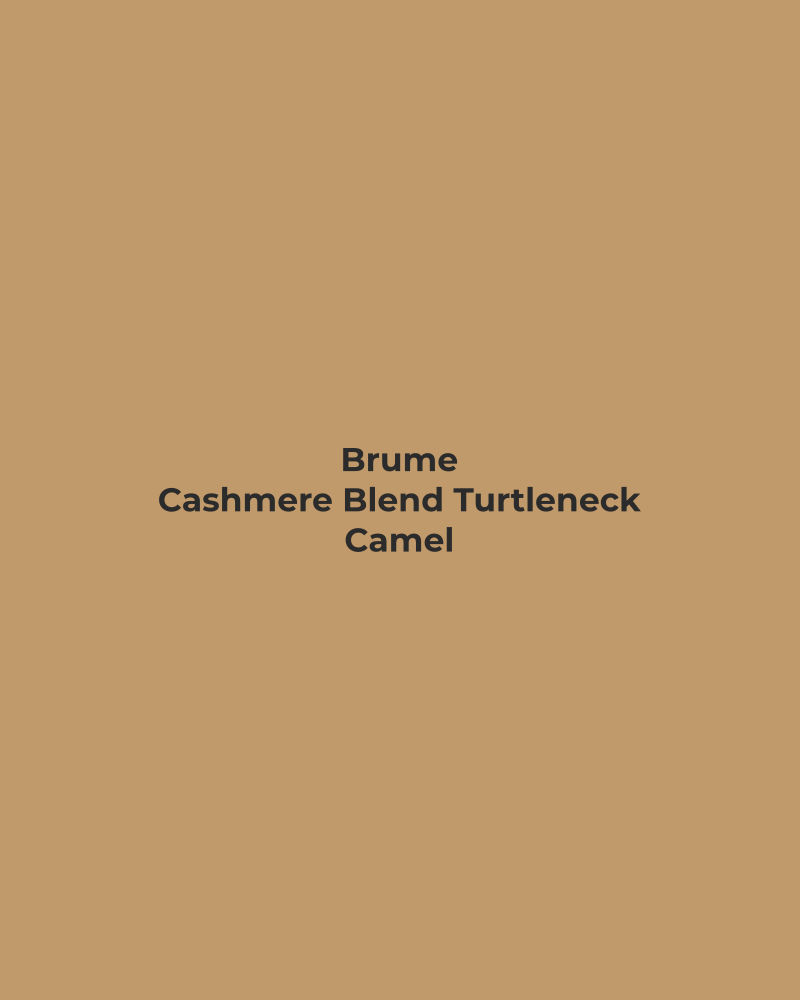 Cashmere Blend Turtleneck – Camel